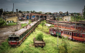 Estação de metrô abandonada, trens, cobrido infestantes