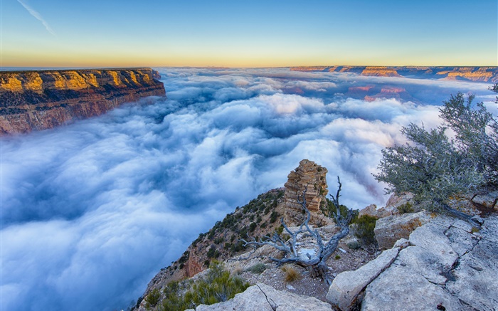 Arizona, EUA, Grand Canyon, manhã, nascer do sol, nevoeiro, nuvens Papéis de Parede, imagem