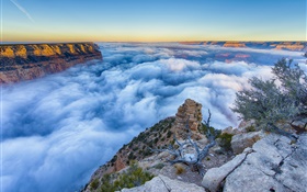 Arizona, EUA, Grand Canyon, manhã, nascer do sol, nevoeiro, nuvens