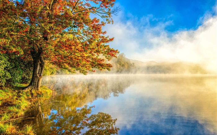 Paisagem do outono, lago, névoa, floresta Papéis de Parede, imagem