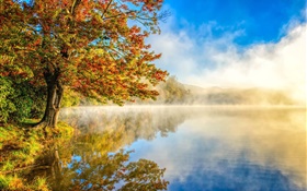 Paisagem do outono, lago, névoa, floresta HD Papéis de Parede