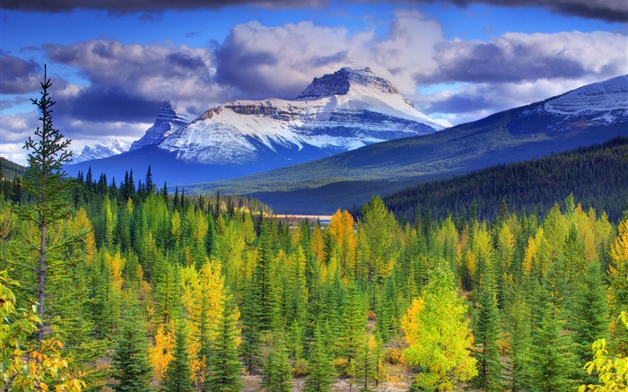 Parque Nacional de Banff, Alberta, Canadá, montanhas, céu, floresta, árvores Papéis de Parede, imagem