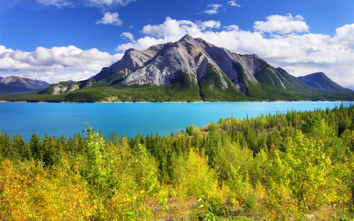 Banff Park, Alberta, Canadá, Abraham Lake, montanha, árvores Papéis de Parede, imagem
