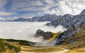 Bavaria, alemão, Alpes, montanhas, estrada, árvores, nevoeiro HD Papéis de Parede