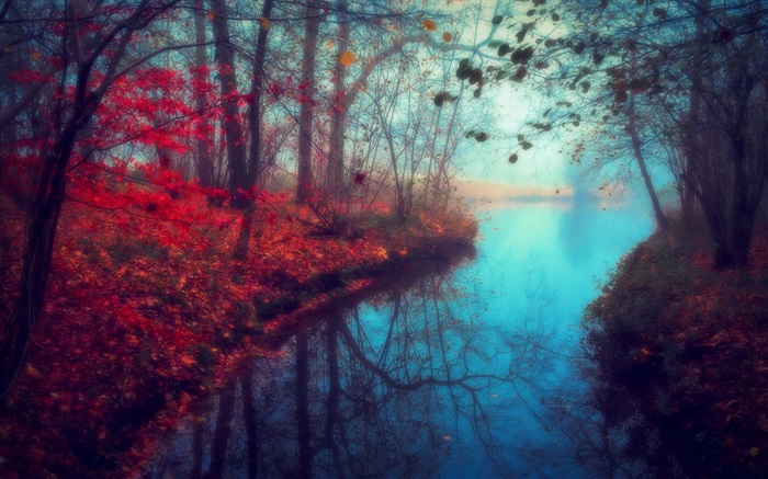 Cenário da natureza, Outono, Rio, árvores, folhas vermelhas bonitas Papéis de Parede, imagem