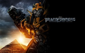 Zangão, filme Transformers