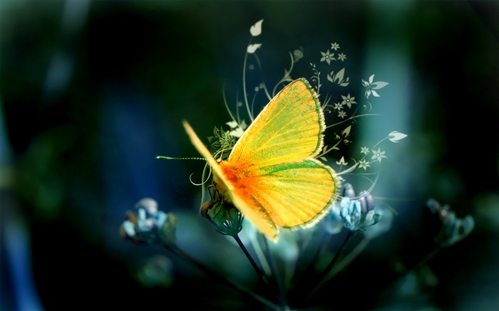 design criativo, borboleta amarela Papéis de Parede, imagem