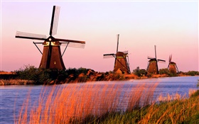 Cenário holandês, moinhos de vento, rios, à noite