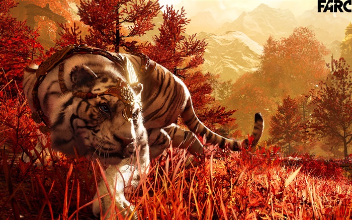 Far Cry 4, tigre branco Papéis de Parede, imagem