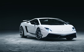 Lamborghini branco Vista frontal supercar HD Papéis de Parede