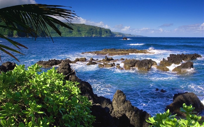 Maui, Hawaii, Estados Unidos, mar Papéis de Parede, imagem