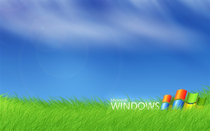Logotipo do Microsoft Windows na grama Papéis de Parede, imagem