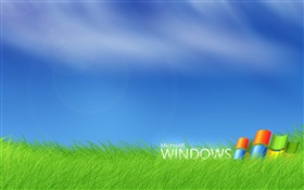 Logotipo do Microsoft Windows na grama HD Papéis de Parede