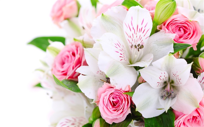 Rosas cor de rosa, orquídeas brancas Papéis de Parede, imagem