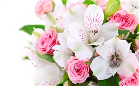 Rosas cor de rosa, orquídeas brancas