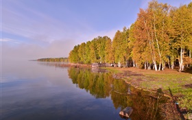 Rússia, Lago Baikal, árvores