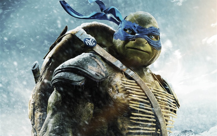 Teenage Mutant Ninja Turtles, Leo Papéis de Parede, imagem