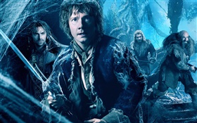 O Hobbit: A Desolação de Smaug HD Papéis de Parede