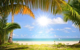 Tropical praia, sol, palmeiras HD Papéis de Parede