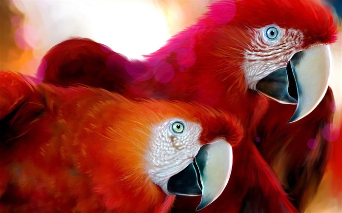 Duas penas vermelhas papagaio Papéis de Parede, imagem