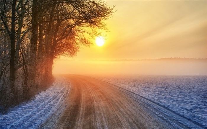 Nascer do sol do inverno, estrada, névoa, árvores Papéis de Parede, imagem