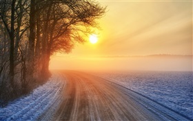 Nascer do sol do inverno, estrada, névoa, árvores HD Papéis de Parede