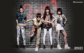 2NE1, meninas da música coreana 02 HD Papéis de Parede