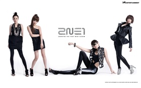 2NE1, meninas da música coreana 03 HD Papéis de Parede