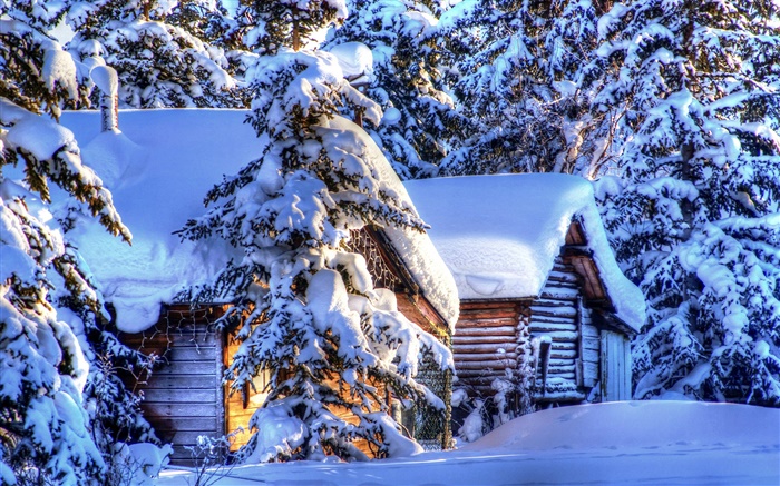 Alaska, espessa neve, floresta, abeto vermelho, cabanas, inverno Papéis de Parede, imagem