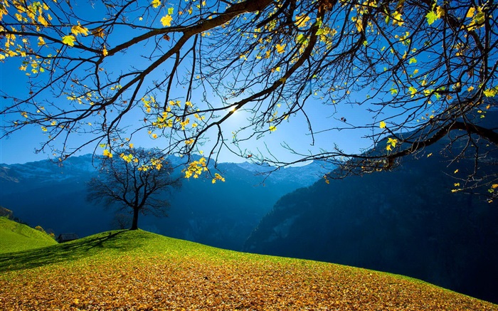 Outono, árvores, montanhas, céu azul, raios do sol Papéis de Parede, imagem