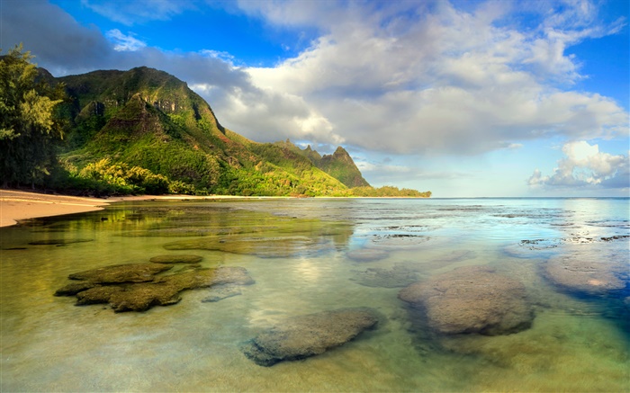 Praia, recife de coral, subaquático, Kauai, Havaí Papéis de Parede, imagem