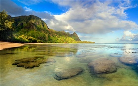 Praia, recife de coral, subaquático, Kauai, Havaí HD Papéis de Parede