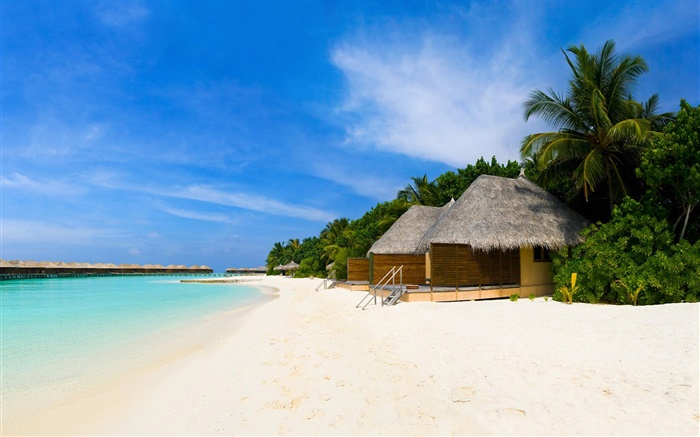 Praia, mar, lazer cabana, palmeiras Papéis de Parede, imagem