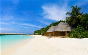 Praia, mar, lazer cabana, palmeiras HD Papéis de Parede