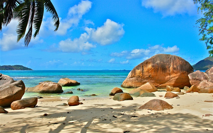 Praia, mar, pedras, raios do sol, Seychelles Ilha Papéis de Parede, imagem