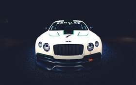 Bentley Continental GT3 Concept Opinião dianteira do carro