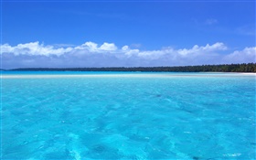 Cenário costa azul, palmeiras, praia HD Papéis de Parede