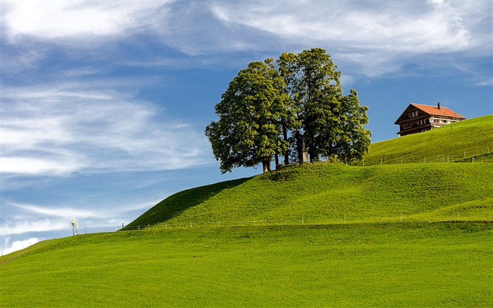 Céu azul, grama, árvore, casa, encosta, Einsiedeln, Schwyz, Suíça Papéis de Parede, imagem