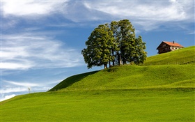 Céu azul, grama, árvore, casa, encosta, Einsiedeln, Schwyz, Suíça HD Papéis de Parede