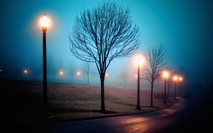 Cidade, noite, nevoeiro, rua, parque, luzes Papéis de Parede, imagem