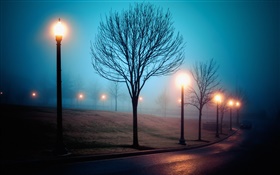 Cidade, noite, nevoeiro, rua, parque, luzes HD Papéis de Parede