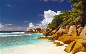 Costa, praia, pedras, mar, nuvens, Ilha Seychelles