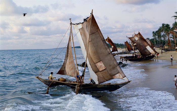 Costa, barcos de pesca, pescadores Papéis de Parede, imagem