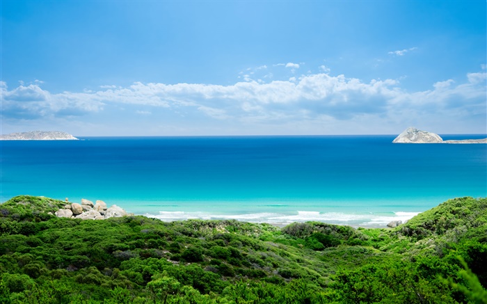 Costa, grama, mar, ilha, céu azul, nuvens Papéis de Parede, imagem