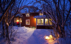 Casa de campo, árvores cobertos de neve, Suécia, noite, luzes