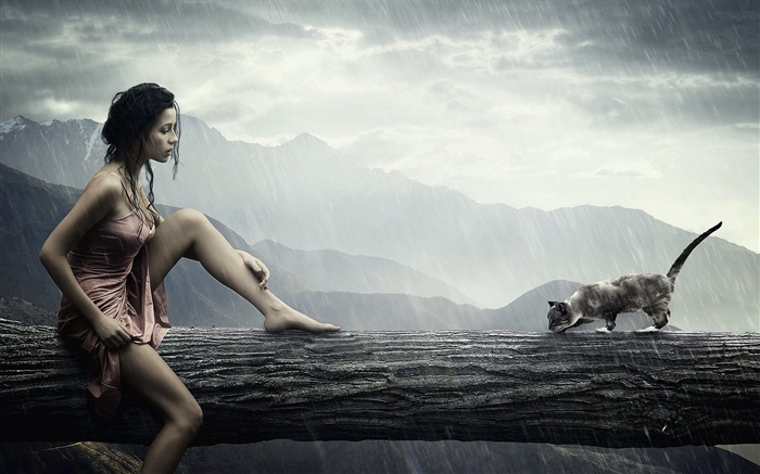 Imagens criativas, menina na chuva, gato à procura de algo Papéis de Parede, imagem