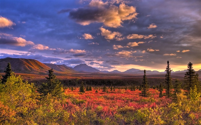 Denali National Park, Alaska, EUA, nuvens, crepúsculo, grama Papéis de Parede, imagem