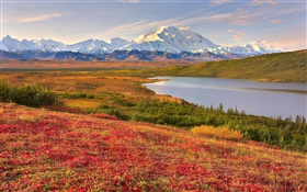 Denali National Park, Alaska, EUA, grama, lago, montanhas