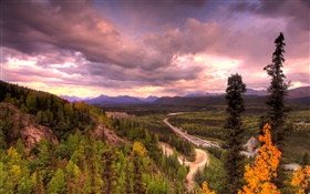 Denali National Park, Alaska, EUA, estrada, árvores, nuvens HD Papéis de Parede