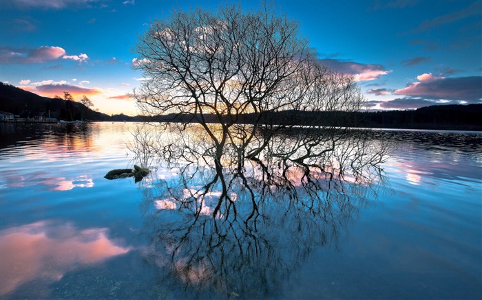 Anoitecer, árvores no lago, reflexão da água, pôr do sol Papéis de Parede, imagem
